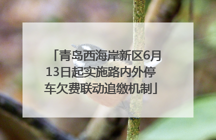 青岛西海岸新区6月13日起实施路内外停车欠费联动追缴机制