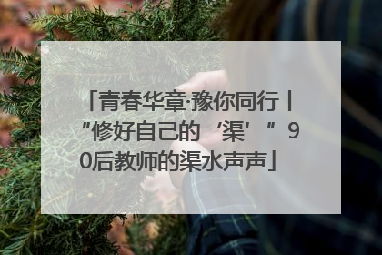 青春华章·豫你同行丨“修好自己的‘渠’”90后教师的渠水声声