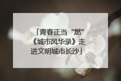青春正当“燃”《城市风华录》走进文明城市长沙