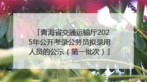 青海省交通运输厅2025年公开考录公务员拟录用人员的公示（第一批次）