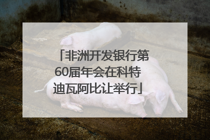 非洲开发银行第60届年会在科特迪瓦阿比让举行