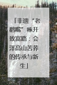 非遗“老鹳嘴”啄开致富路：会泽高山苦荞的传承与新生