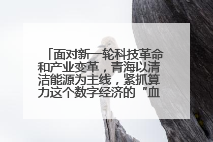 面对新一轮科技革命和产业变革，青海以清洁能源为主线，紧抓算力这个数字经济的“血液”、科技主权的“筹码”、产业升级的“杠杆”、绿色转型的“支点”，勇于撬动国家“双碳”战略、“东数西算”工程重大发展新机遇