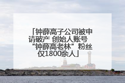 钟薛高子公司被申请破产 创始人账号“钟薛高老林”粉丝仅1800余人