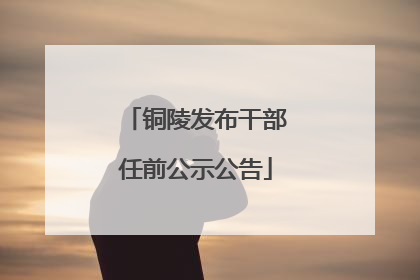 铜陵发布干部任前公示公告