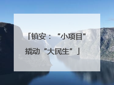 镇安：“小项目”撬动“大民生”