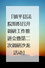 镇平县法院组织召开调研工作推进会暨第二次调研沙龙活动