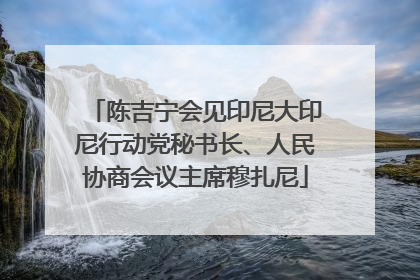 陈吉宁会见印尼大印尼行动党秘书长、人民协商会议主席穆扎尼