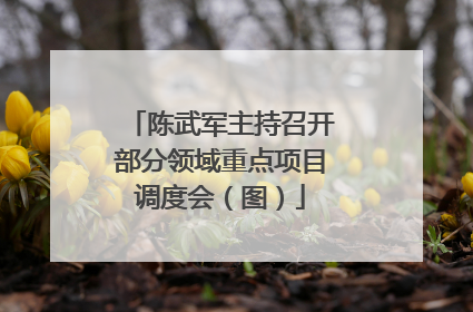 陈武军主持召开部分领域重点项目调度会（图）