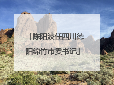 陈阳波任四川德阳绵竹市委书记