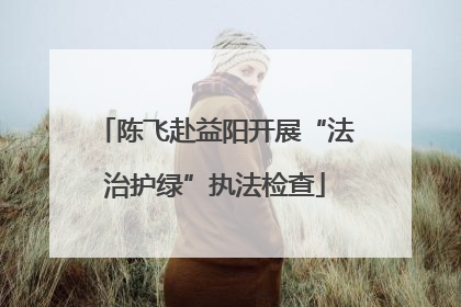 陈飞赴益阳开展“法治护绿”执法检查