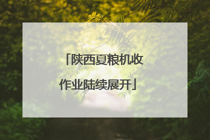 陕西夏粮机收作业陆续展开