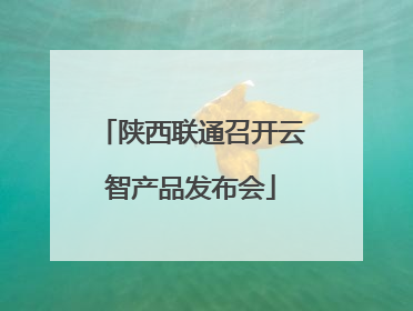 陕西联通召开云智产品发布会