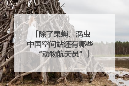 除了果蝇、涡虫 中国空间站还有哪些“动物航天员”