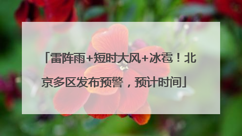雷阵雨+短时大风+冰雹！北京多区发布预警，预计时间