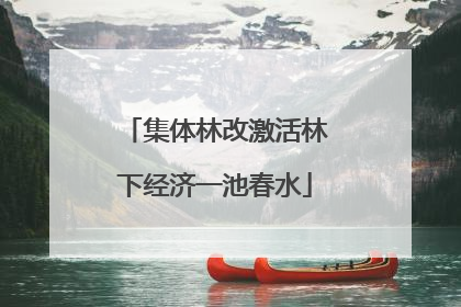 集体林改激活林下经济一池春水