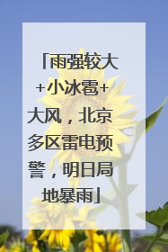雨强较大+小冰雹+大风，北京多区雷电预警，明日局地暴雨