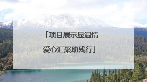 项目展示显温情 爱心汇聚助残行