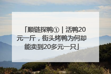 顺链探鸭①｜活鸭20元一斤，街头烤鸭为何却能卖到20多元一只