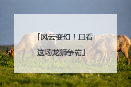 风云变幻！且看这场龙狮争霸