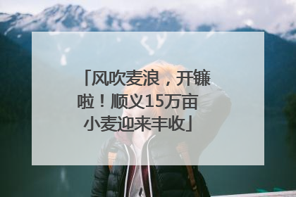 风吹麦浪，开镰啦！顺义15万亩小麦迎来丰收