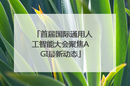 首届国际通用人工智能大会聚焦AGI最新动态