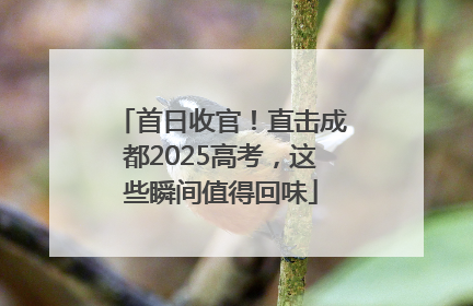 首日收官！直击成都2025高考，这些瞬间值得回味