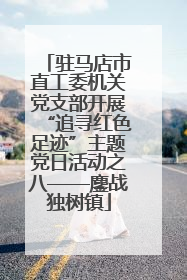 驻马店市直工委机关党支部开展“追寻红色足迹”主题党日活动之八——鏖战独树镇