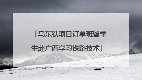 马东铁项目订单班留学生赴广西学习铁路技术