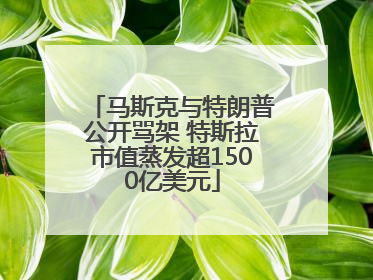 马斯克与特朗普公开骂架 特斯拉市值蒸发超1500亿美元
