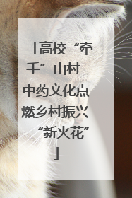 高校“牵手”山村 中药文化点燃乡村振兴“新火花”