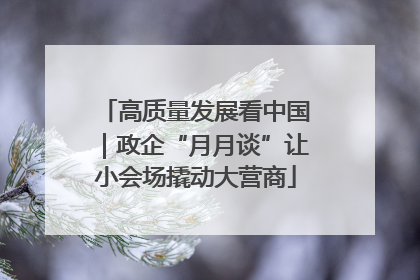 高质量发展看中国｜政企“月月谈”让小会场撬动大营商