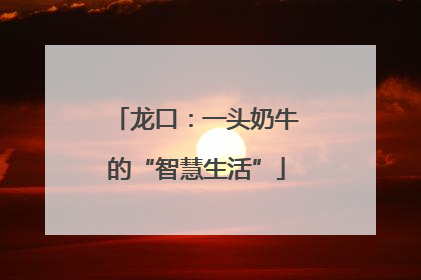龙口：一头奶牛的“智慧生活”