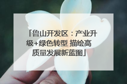 鲁山开发区：产业升级+绿色转型 描绘高质量发展新蓝图