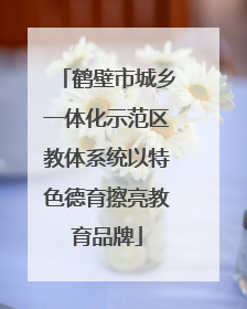 鹤壁市城乡一体化示范区教体系统以特色德育擦亮教育品牌