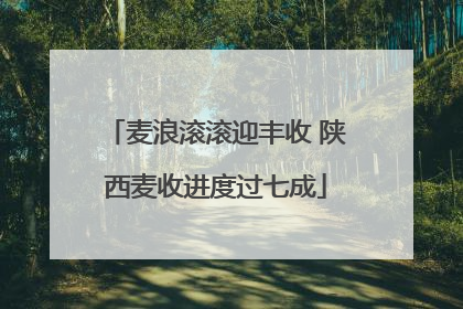 麦浪滚滚迎丰收 陕西麦收进度过七成