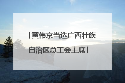 黄伟京当选广西壮族自治区总工会主席