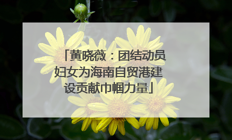 黄晓薇：团结动员妇女为海南自贸港建设贡献巾帼力量