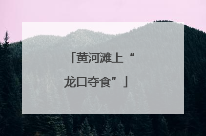 黄河滩上“龙口夺食”