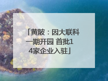 黄陂：因大联科一期开园 首批14家企业入驻