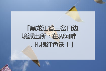 黑龙江省三岔口边境派出所：在界河畔，扎根红色沃土
