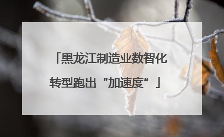 黑龙江制造业数智化转型跑出“加速度”