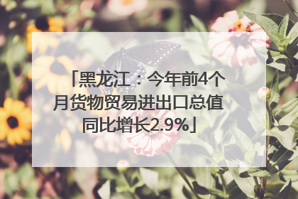 黑龙江：今年前4个月货物贸易进出口总值同比增长2.9%