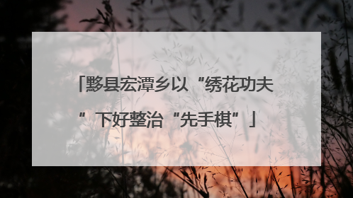 黟县宏潭乡以“绣花功夫”下好整治“先手棋”
