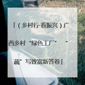 （乡村行·看振兴）广西乡村“绿色工厂” “蔬”写致富新答卷