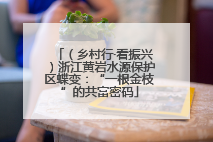 （乡村行·看振兴）浙江黄岩水源保护区蝶变：“一根金枝”的共富密码