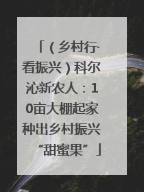 （乡村行·看振兴）科尔沁新农人：10亩大棚起家种出乡村振兴“甜蜜果”