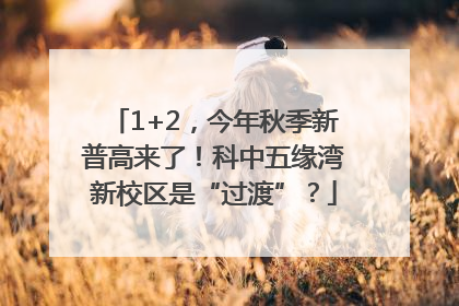 1+2，今年秋季新普高来了！科中五缘湾新校区是“过渡”？