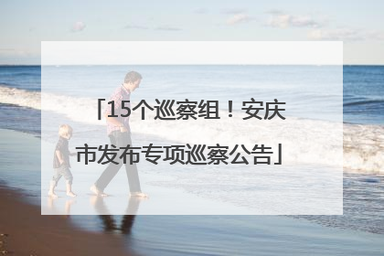 15个巡察组！安庆市发布专项巡察公告