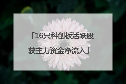 16只科创板活跃股获主力资金净流入